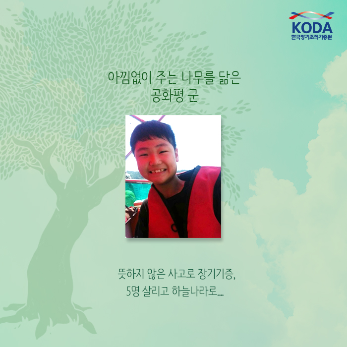 아낌없이 주는 나무를 닮은 공화평 군