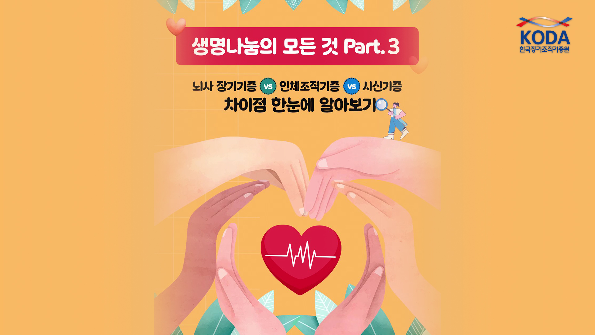 뇌사장기기증 vs 인체조직기증 vs 시신기증「생명나눔의 모든 것 Part 3」